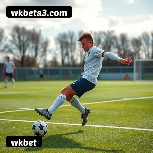 Imagem secundária de apoio para instalação do app wkbet